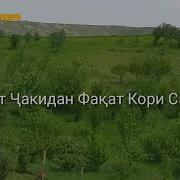 Умарчон Саидуф