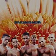 Heirate Mich Rammstein