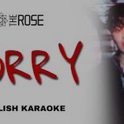 The Rose Sorry Instrumental