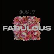 Fabulous Cut