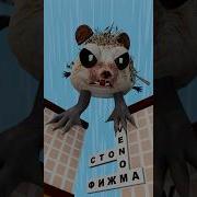 Сто И Фижма
