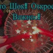 Моя Свеча