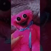 Я Пушистый Маленький Учитель