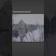 Гр Уголовная Академия Альбомы