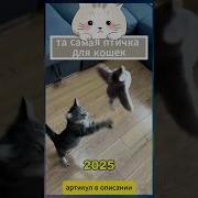 Интерактивная Игрушка С Котенком