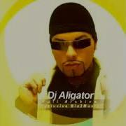 Dj Aligator Best Tracks