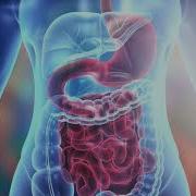 Intestine Absolute Stomach Detox Healing Lusil