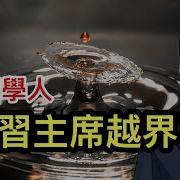 Lt視界中共拟定