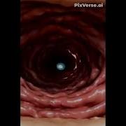 Navel Vore