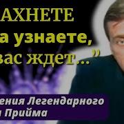 Алексей Прийма