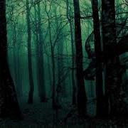 3207 Dark Forest Radiozora Bhooteshwara Records Presents Blisargon Demogorgon 09122016