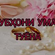 Субҳони Умар Туёна
