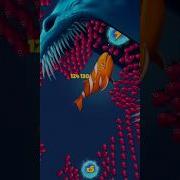Fishdom