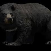 Bear Far Cry 4 Sounds