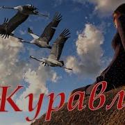 Максим Фадеев Журавли