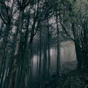 Kosemura The Cycle Of Nature