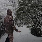 Мы Их Не Ждали А Они Уже Пришли