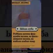 Жолдон Сактануу Дуба