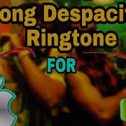 Apple Ringtone For Call Dispacito