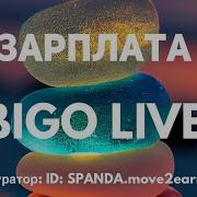 Биго Амлари Топ 1