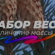 Саблиминал На Набор Веса