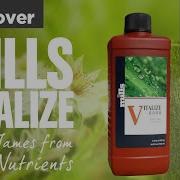 Vitalize