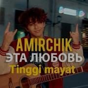 Amirchik