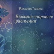 Биология Пасечник 7 Класс Высшие Споровые Растения