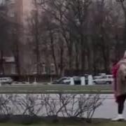 Знаменитая Ночная Бабочка Ляля Колобок