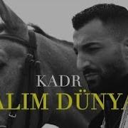 Dünya Dünya Zalım Dünya