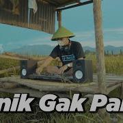 Dj Desa Panik Gak Panik