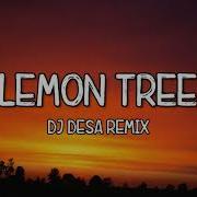 Lemon Tree Tiktok Remix