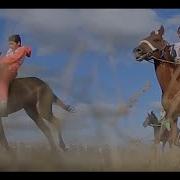 Тай Байге 2018