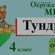 Окружающий Мир 4 Класс Плешаков