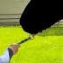 A Horse Is Leaving FSE We Will Miss You