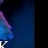 Take Me Back Black Friday Lyric Video