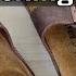 Birkenstock Arizona Sandals Review One Year Through Detailed Experience