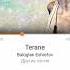 Baloglan Esrefov Terane