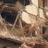 URGENT EARTHQUAKE IN ITALY Campi Flegrei At The Epicenter Of The Disaster
