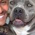 Eu Cresci Americanbully