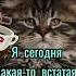 с добрым утром котики милота утренняярутина сон