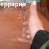 да я террорист ой терарист тренд хочуврек террария Terraria