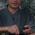 古人智慧 用松塔做香薰 很少人见过 Making Pine Nut Incense Few People Know Crafts Diy Chineselife 文化传承 Pinecone