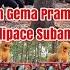 Full Video Ara Nonton Pembukaan Gema Pramuka Ke 52 Di Bumi Perkemahan Kalipace Subang