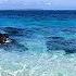 Iguana Island 4K An Undiscovered Paradise In Panama