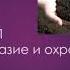 Тема 40 Разнообразие почв 7 класс