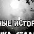 Истории на ночь 3в1 1 Как моя кошка стала трёхногой 2 Ночь перед пох0ронами 3 Вой под окном