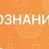 ОБЩЕСТВОЗНАНИЕ 7 класс Обязанности гражданина РФ