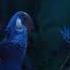 Rio 2011 Jungle Scene