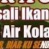 Biar Ku Sendiri Jangan Sesali Ikan Yang Jatuh Di Air Kolam Karaoke Nada Wanita